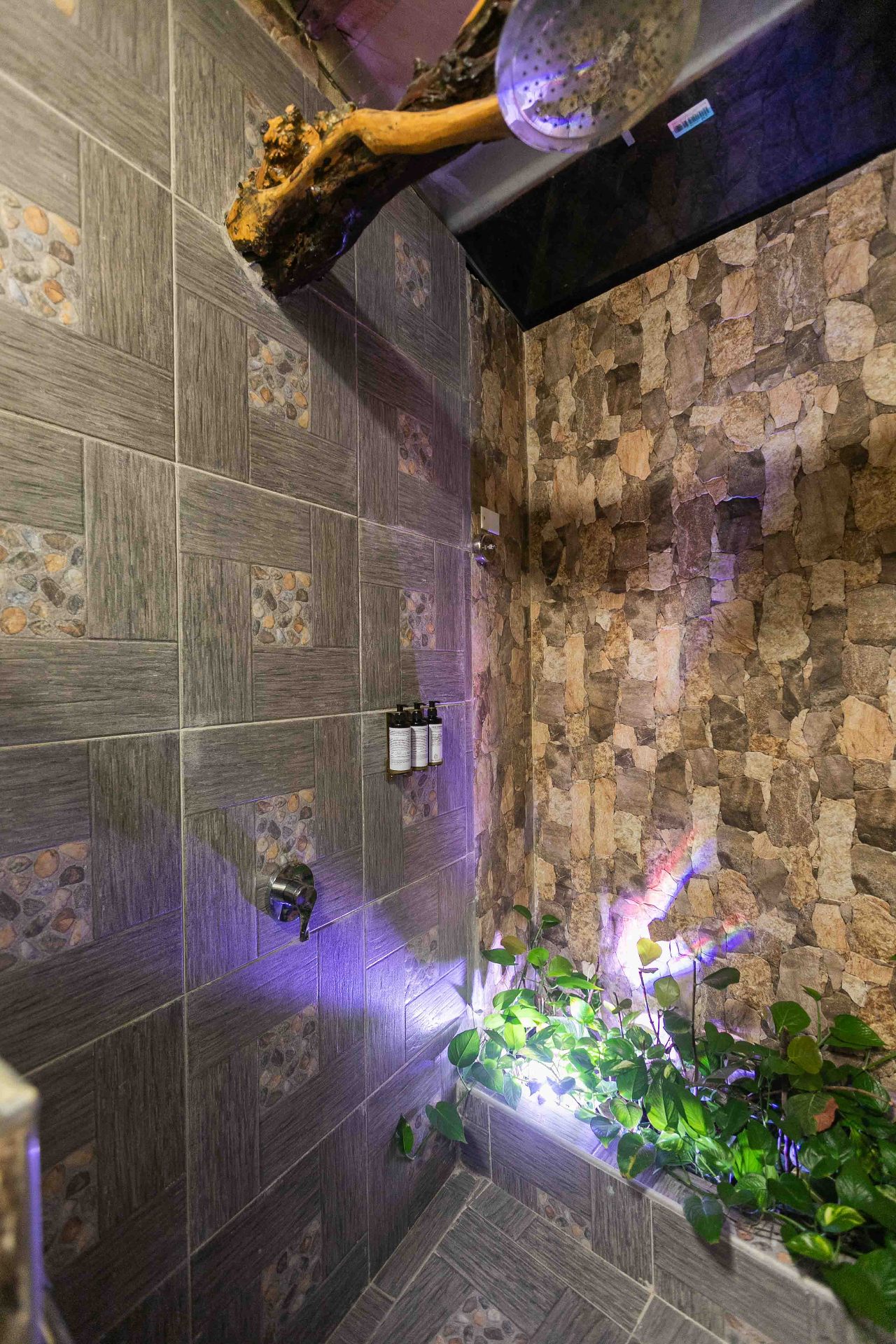 Shower with live plants and natural stone at Marahuaco Beach House beach hotel Cartagena