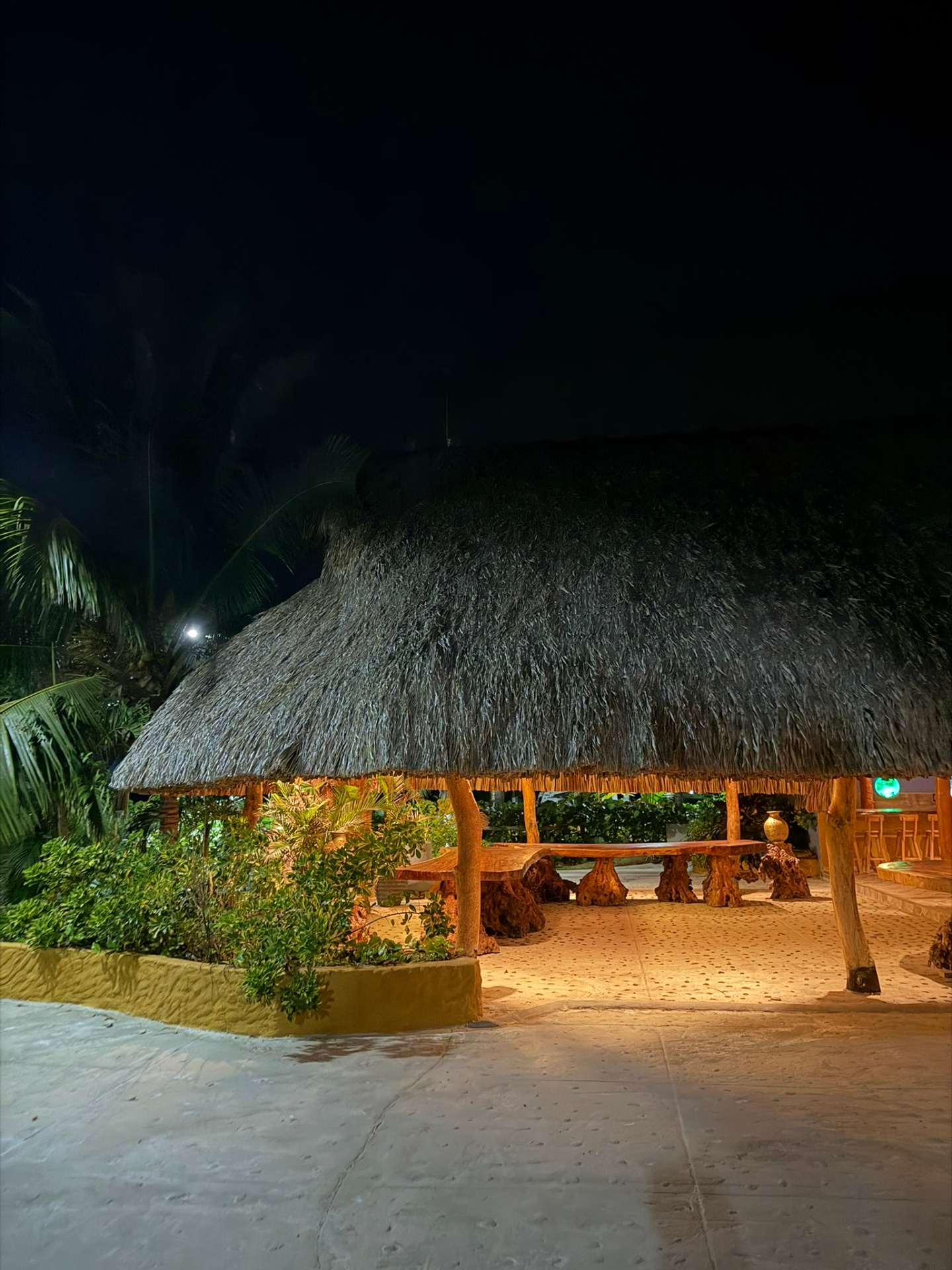 Palapa principal iluminada de noche