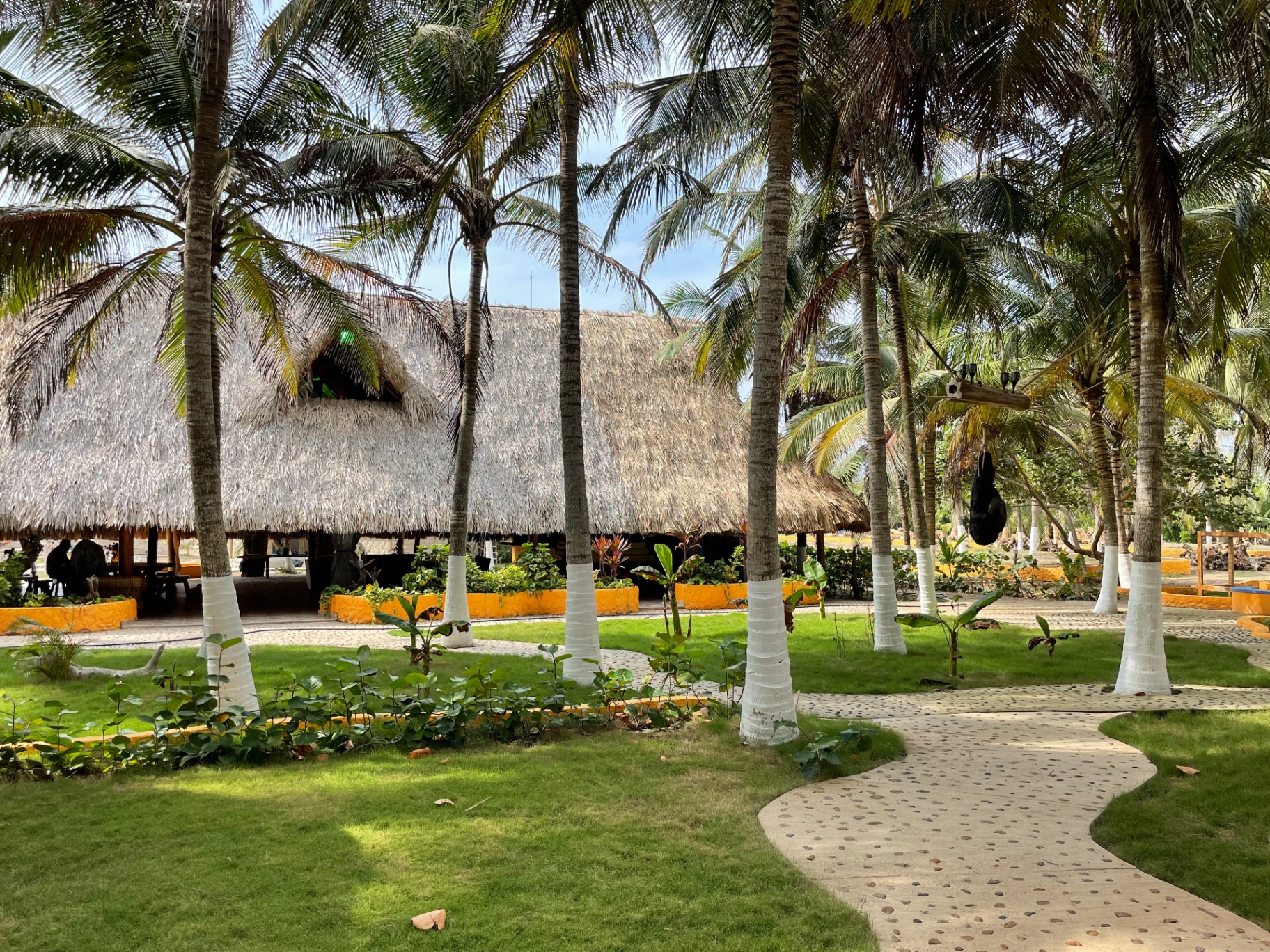 Jardín de palmeras y kiosko principal